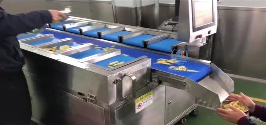 薯片薯条皮带式定量配重机案例视频
